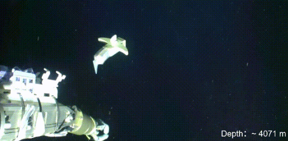 無懼高壓極端環境！我國軟體機器人挺進4070米深海
